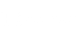 FAUX REIGN